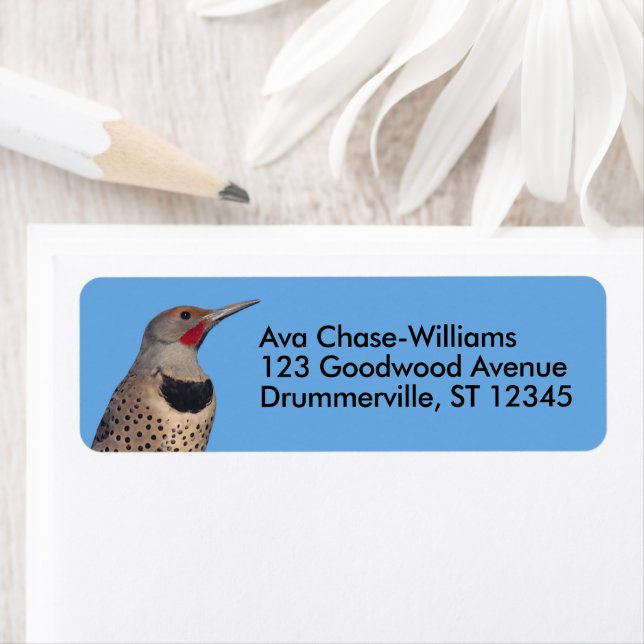 Nordflacker-Flecker in der Sonne (Insitu)