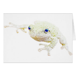 NordFroggy