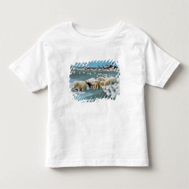 Nordhang, Alaska. Polar Bears Ursus Kleinkind T-shirt (Vorderseite)