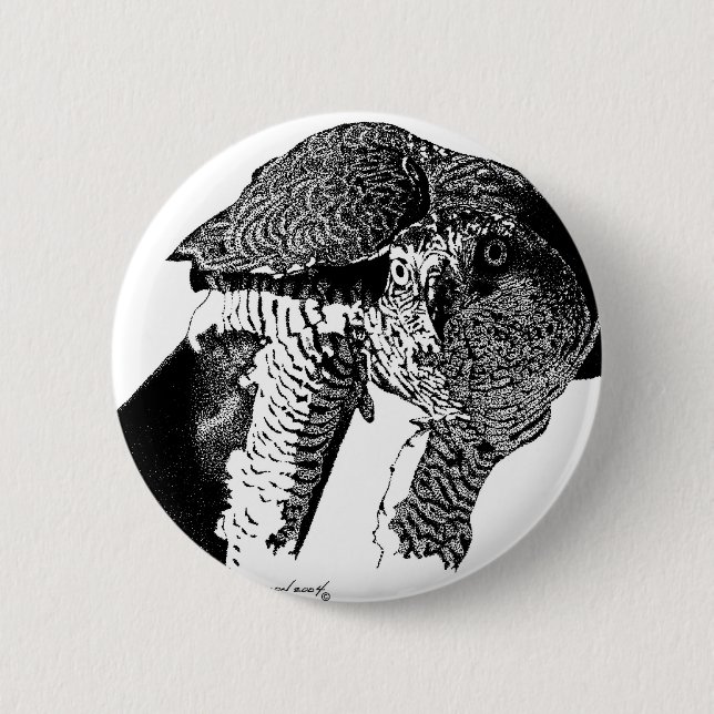 Nordhühnerhabicht Button (Vorderseite)