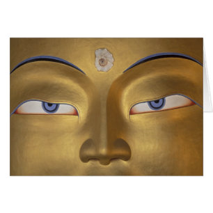 Nordindien, Ladakh, Thikse Gompa