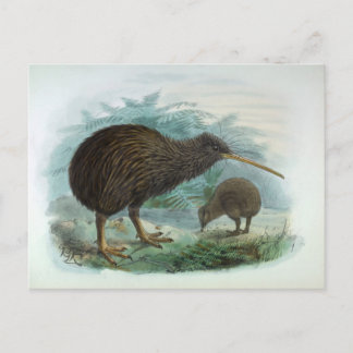 Nordinsel-Braunkiwi-Vintage-Vogelillustration Postkarte