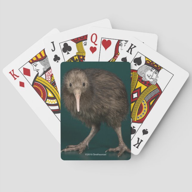 Nordinsel-Brown-Kiwi Spielkarten (Rückseite)