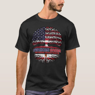 Nordirland Irland Ulster USA USA T-Shirt