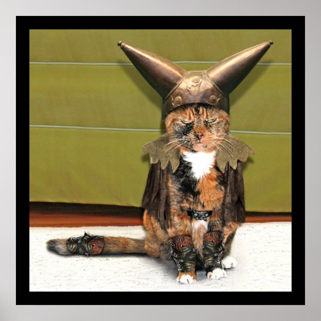 Nordische Katze ist nicht verwirrt Poster (Vorne)