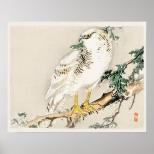 Nordische Spottdrossel von Kōno Bairei (1844-1895) Poster