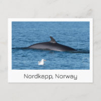 Nordkapp, Souvenirkarte Norwegen.