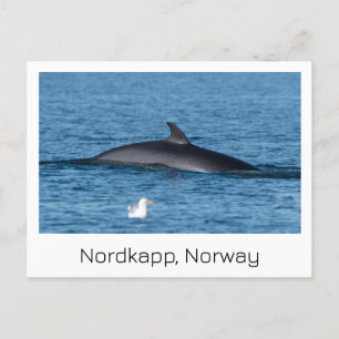 Nordkapp, Souvenirkarte Norwegen. Postkarte