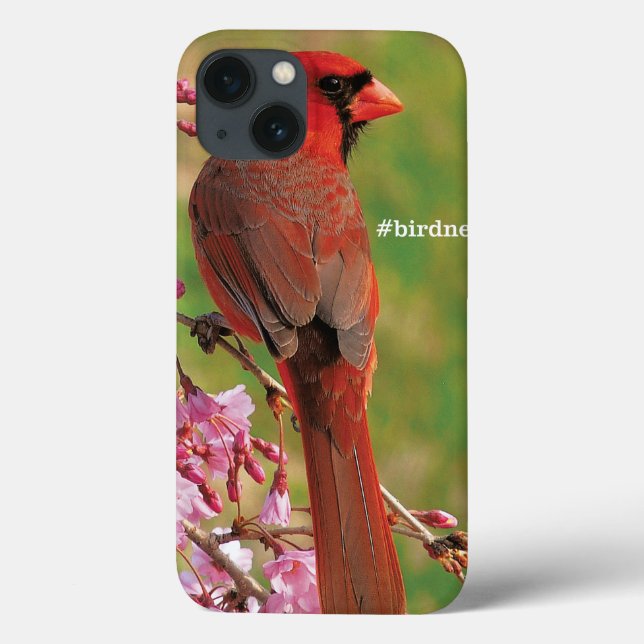 NordKardinal Case-Mate iPhone Hülle (Rückseite)