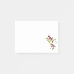 NordKardinal durch Audubon Post-it Klebezettel