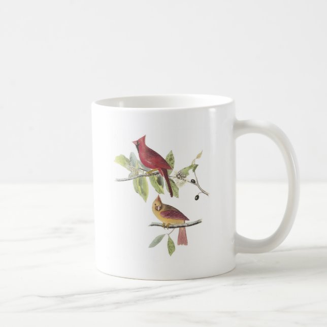 NordKardinal durch Audubon Tasse (Rechts)