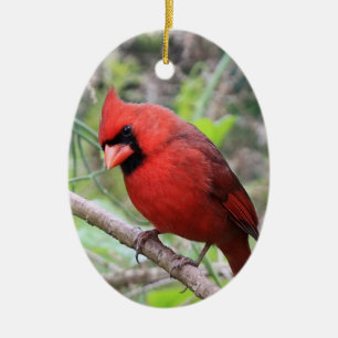 NordKardinal -- Traditioneller Weihnachtsvogel Keramik Ornament