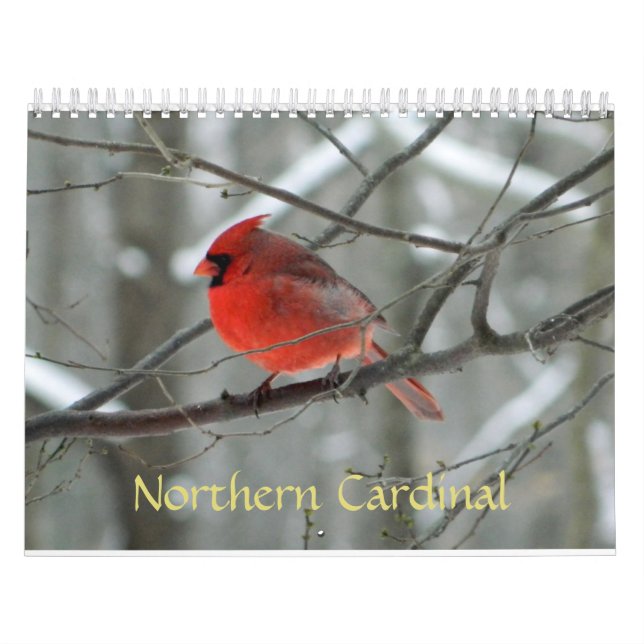 NordKardinals-Kalender Kalender (Titelbild)