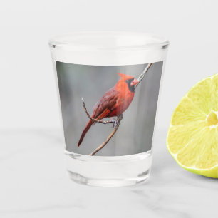 NordKardinals-Schuss-Glas Schnapsglas