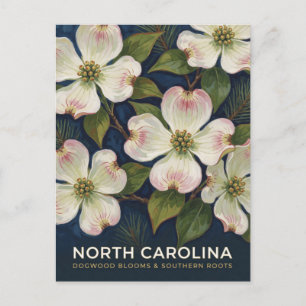 Nordkarolina-Dogwood-Staatsblumen-Szene Postkarte