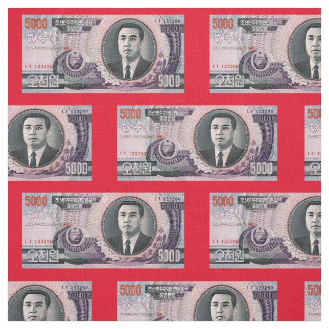 Nordkorea-Banknoten-Gewebe Stoff (Muster)