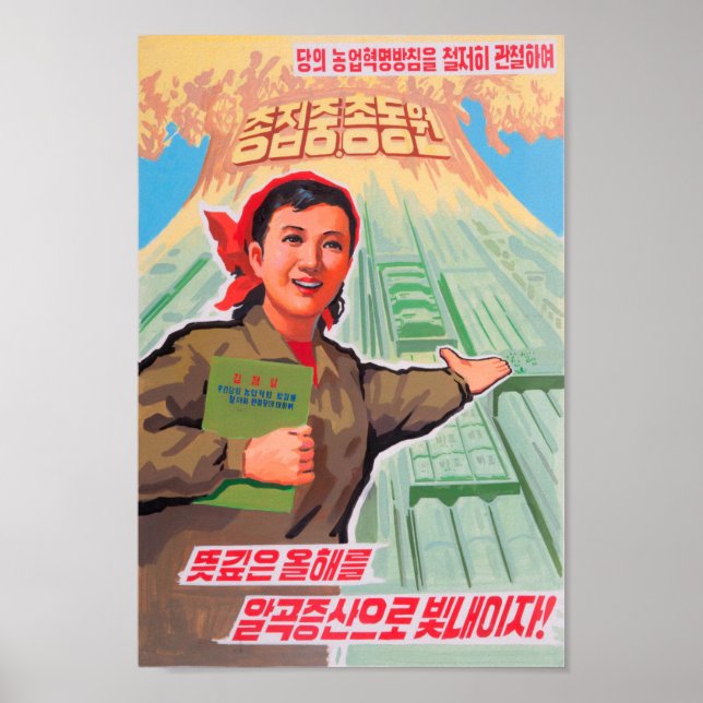 Nordkoreanisches Propaganda-Poster - Poster (Vorne)