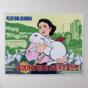 Nordkoreanisches Propaganda-Poster - Rotes Auge - Poster