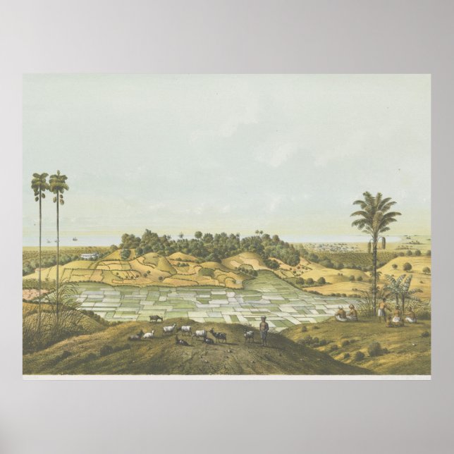 Nordküste bei Semarang Poster (Vorne)