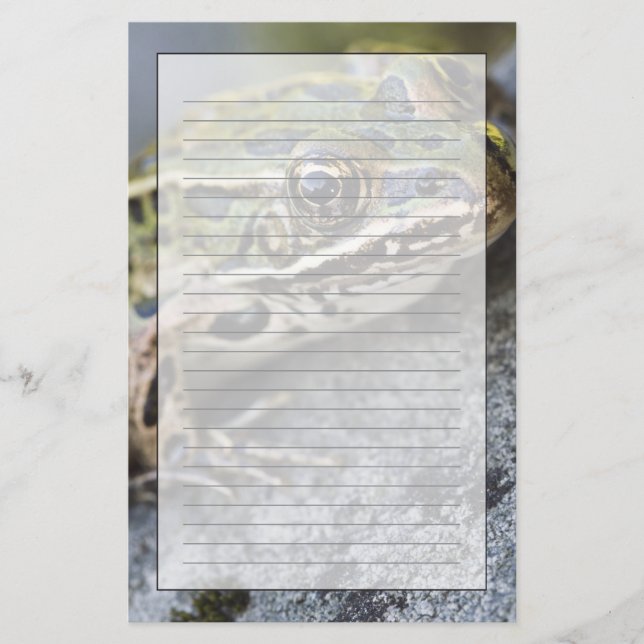 Nordleopardfrosch, See-through Island, Briefpapier (Vorderseite)