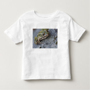 Nordleopardfrosch, See-through Island, Kleinkind T-shirt