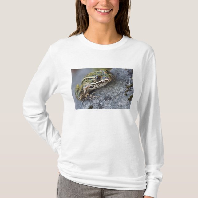 Nordleopardfrosch, See-through Island, T-Shirt (Vorderseite)