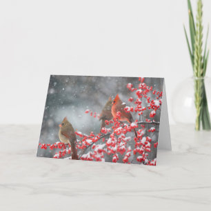 Nördliche Kardinäle   Marion, Illinois Karte