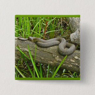 Nördliche Wasserschlange auf Sammelposten Button