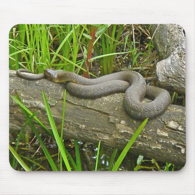 Nördliche Wasserschlange auf Sammelposten Mousepad (Vorne)