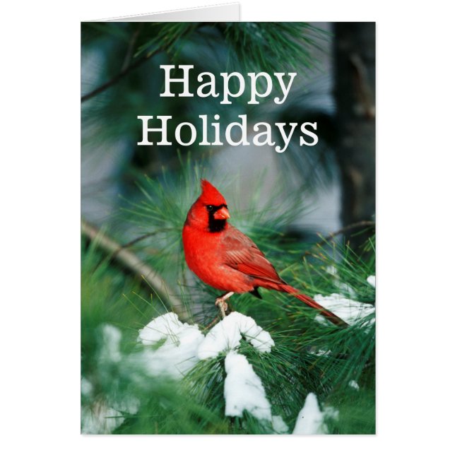 Nördlicher Kardinal auf Baum, IL (Vorne)