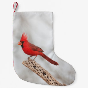 Nördlicher Kardinal auf Zweig Kleiner Weihnachtsstrumpf