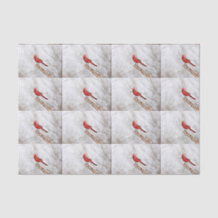 Nördlicher Kardinal auf Zweig Seidenpapier