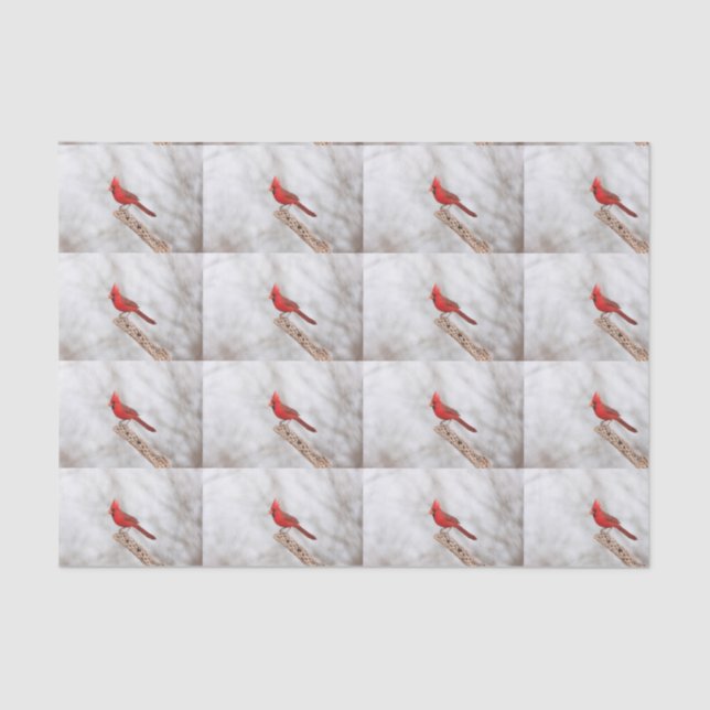 Nördlicher Kardinal auf Zweig Seidenpapier (Vorderseite)