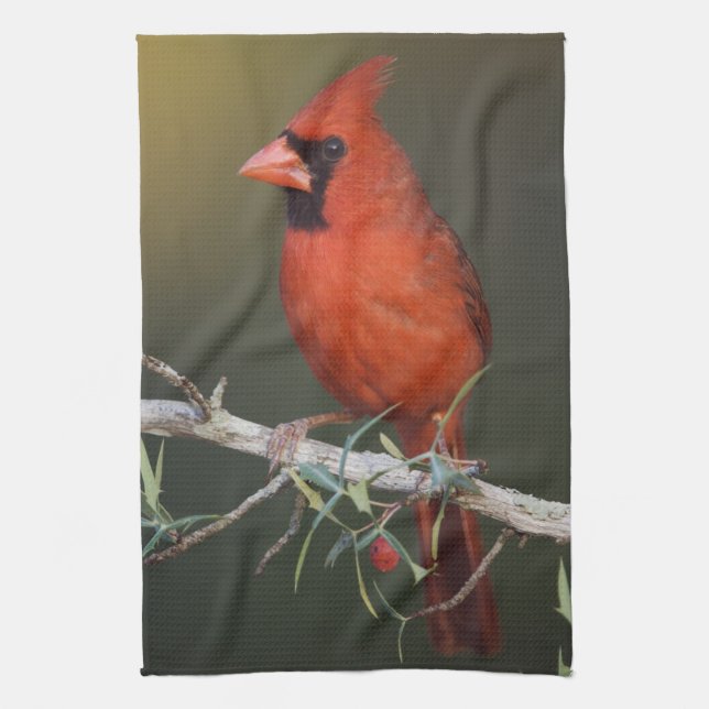 Nördlicher Kardinal, Cardinalis cardinalis, männli Handtuch (Vertikal)