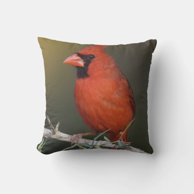 Nördlicher Kardinal, Cardinalis cardinalis, männli Kissen (Vorderseite)