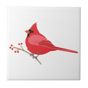 Nördlicher Kardinal Fliese