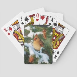 Nördlicher Kardinal im Baum, Illinois Spielkarten