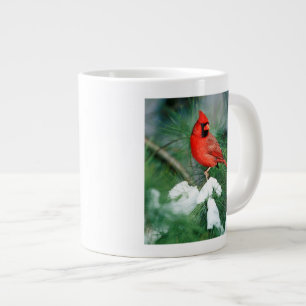 Nördlicher Kardinal Männchen auf Baum, IL Jumbo-Tasse
