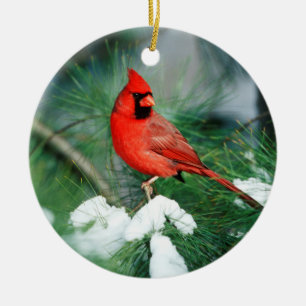 Nördlicher Kardinal Männchen auf Baum, IL Keramikornament