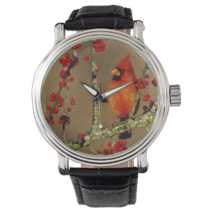 Nördlicher Kardinal Männchen sitzend, IL Armbanduhr