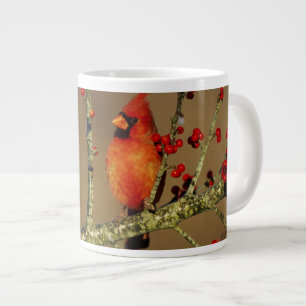 Nördlicher Kardinal Männchen sitzend, IL Jumbo-Tasse