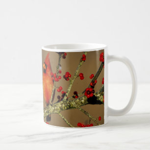 Nördlicher Kardinal Männchen sitzend, IL Kaffeetasse
