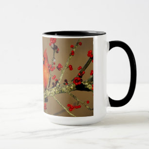 Nördlicher Kardinal Männchen sitzend, IL Tasse