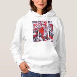 Nördlicher Kardinal Männchen, Winter, IL Hoodie