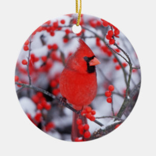 Nördlicher Kardinal Männchen, Winter, IL Keramikornament