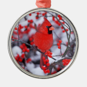 Nördlicher Kardinal Männchen, Winter, IL Silbernes Ornament