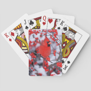 Nördlicher Kardinal Männchen, Winter, IL Spielkarten