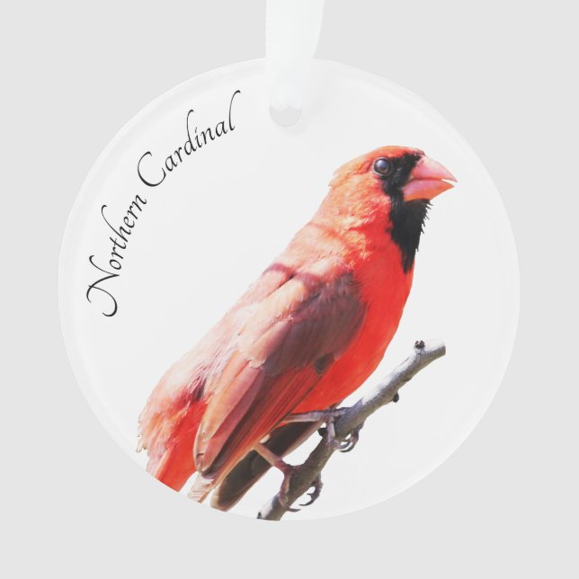 Nördlicher Kardinal Ornament (Vorderseite)