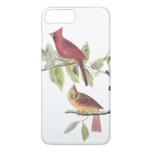 Nördlicher Kardinal von Audubon Case-Mate iPhone Hülle