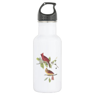 Nördlicher Kardinal von Audubon Edelstahlflasche